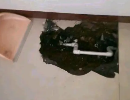 鄯善卫生间测漏水多少钱